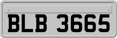 BLB3665
