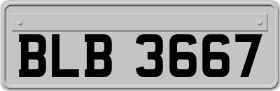BLB3667