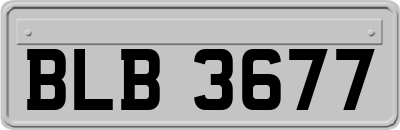 BLB3677