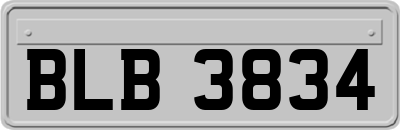 BLB3834