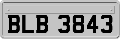BLB3843
