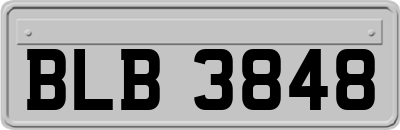 BLB3848