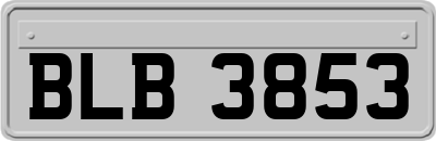 BLB3853