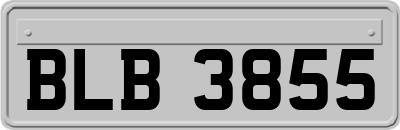 BLB3855