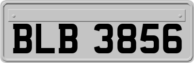 BLB3856
