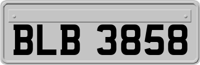 BLB3858