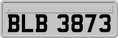 BLB3873