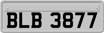 BLB3877