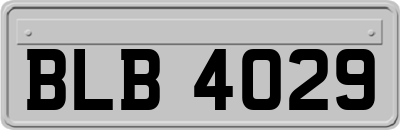 BLB4029