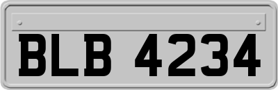 BLB4234