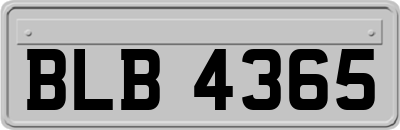 BLB4365