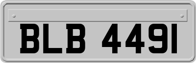 BLB4491