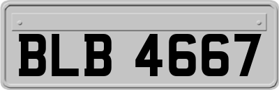 BLB4667