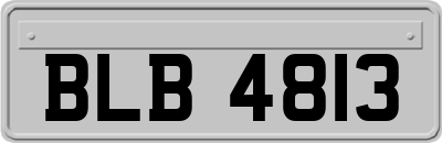 BLB4813