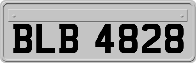BLB4828