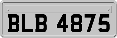 BLB4875