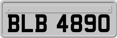 BLB4890