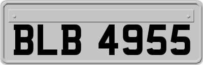 BLB4955