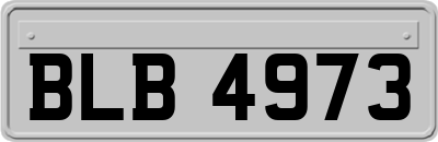BLB4973