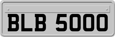 BLB5000