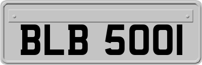 BLB5001