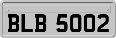 BLB5002