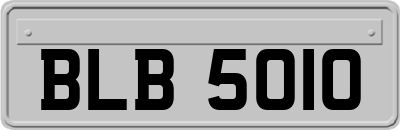 BLB5010