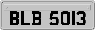 BLB5013