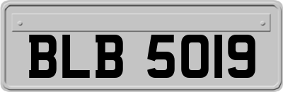 BLB5019
