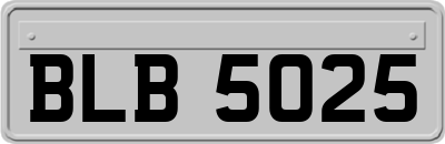 BLB5025