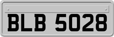 BLB5028