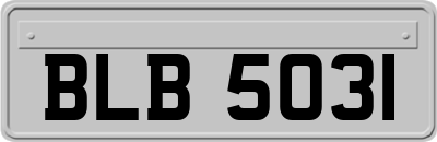 BLB5031