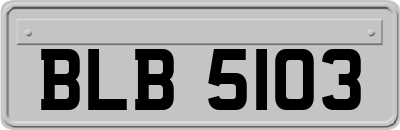 BLB5103