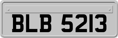 BLB5213