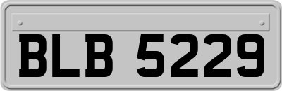 BLB5229