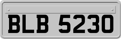 BLB5230