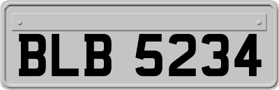 BLB5234