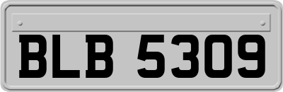 BLB5309