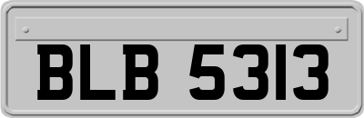 BLB5313