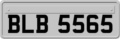BLB5565