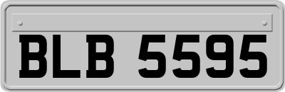 BLB5595