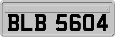 BLB5604