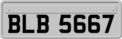 BLB5667