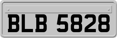 BLB5828