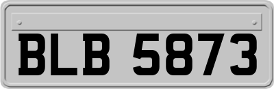 BLB5873