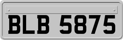 BLB5875