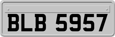 BLB5957