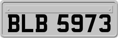 BLB5973