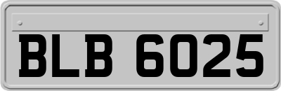 BLB6025