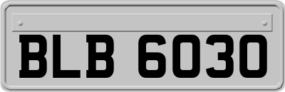 BLB6030